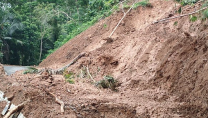 Tips Investasi Tanah yang Menguntungkan