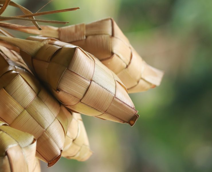 Tradisi lebaran di Indonesia (Ketupat: unsplash-mufid-majnun)