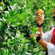 Segini Bertambahnya Kekayaan Sandiaga Uno-Penasaran