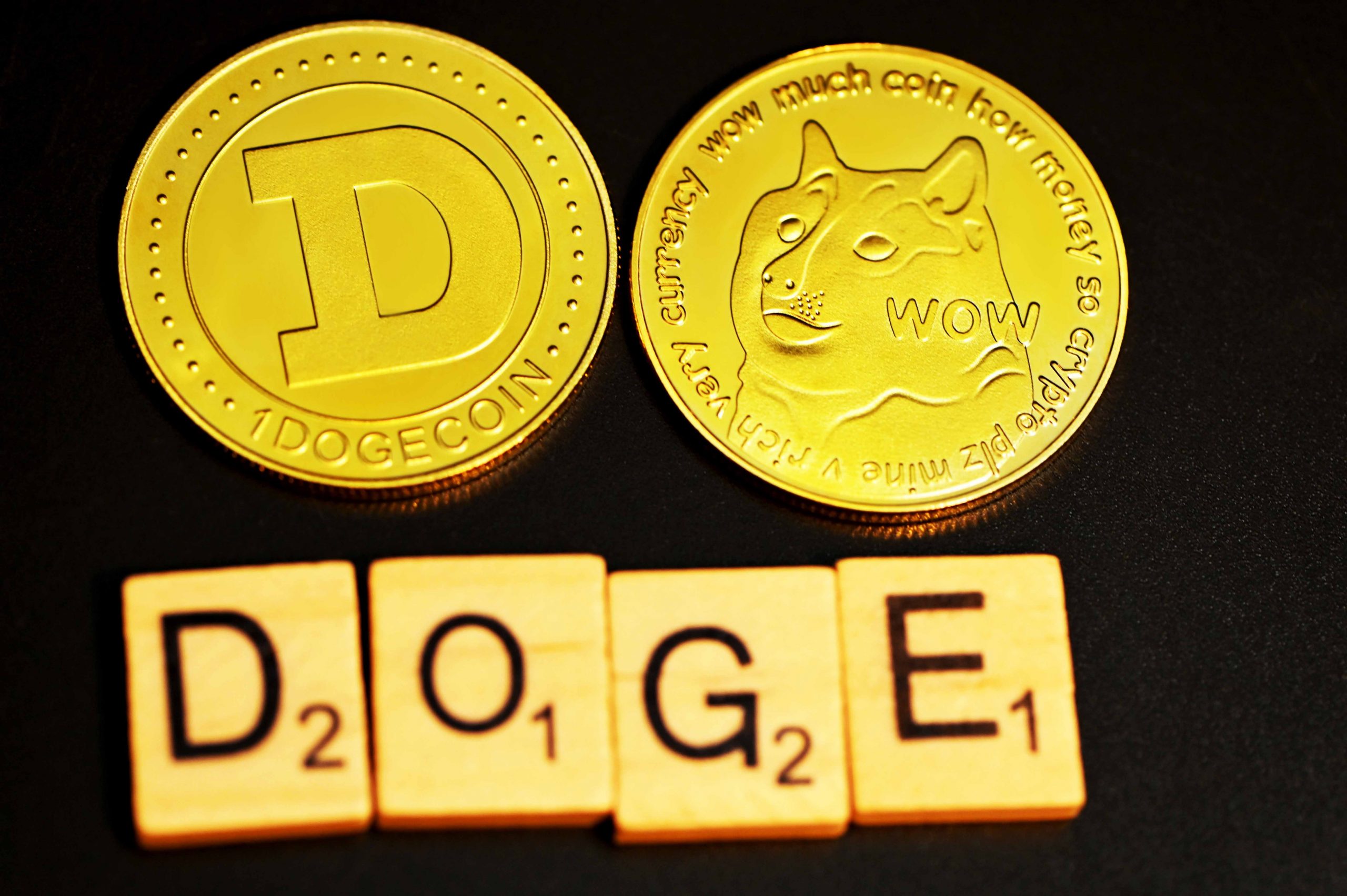 Doge Notes Doge Coin Sebagai Pembayaran di SpaceX : Elon Musk yang Merencanakan ...