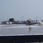 Tambak udang di Kabupaten Jepara, Jawa Tengah. (Ilustrasi) (ANTARA:Akhmad Nazaruddin Lathif)