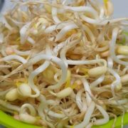 Ide-kesuksesan-Bisnis-Kecambah-untuk-dicoba-dengan-Modal-Kecil