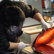 Ilustrasi pengawetan ikan (Beth Macdonald on Unsplash)