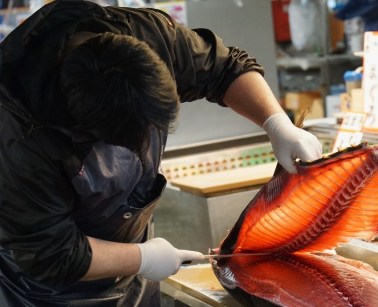 Ilustrasi pengawetan ikan (Beth Macdonald on Unsplash)